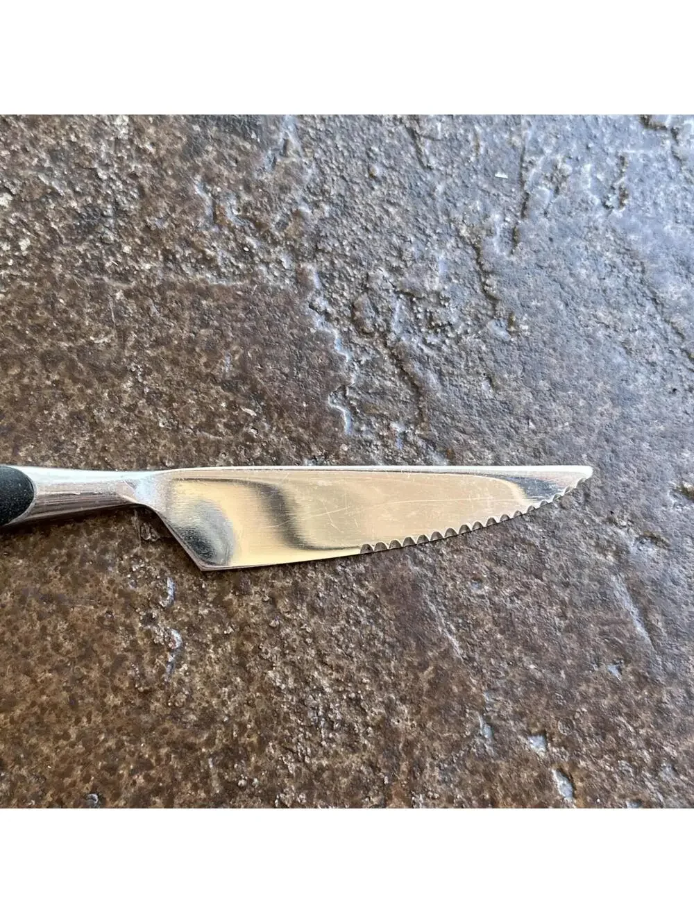 CAPCO Stainless Steel Japan Butter Knife Serated 3.5”